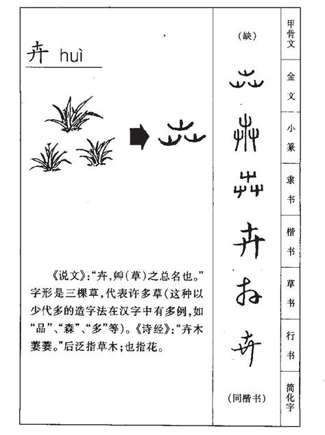 卉名字意思|卉的解释